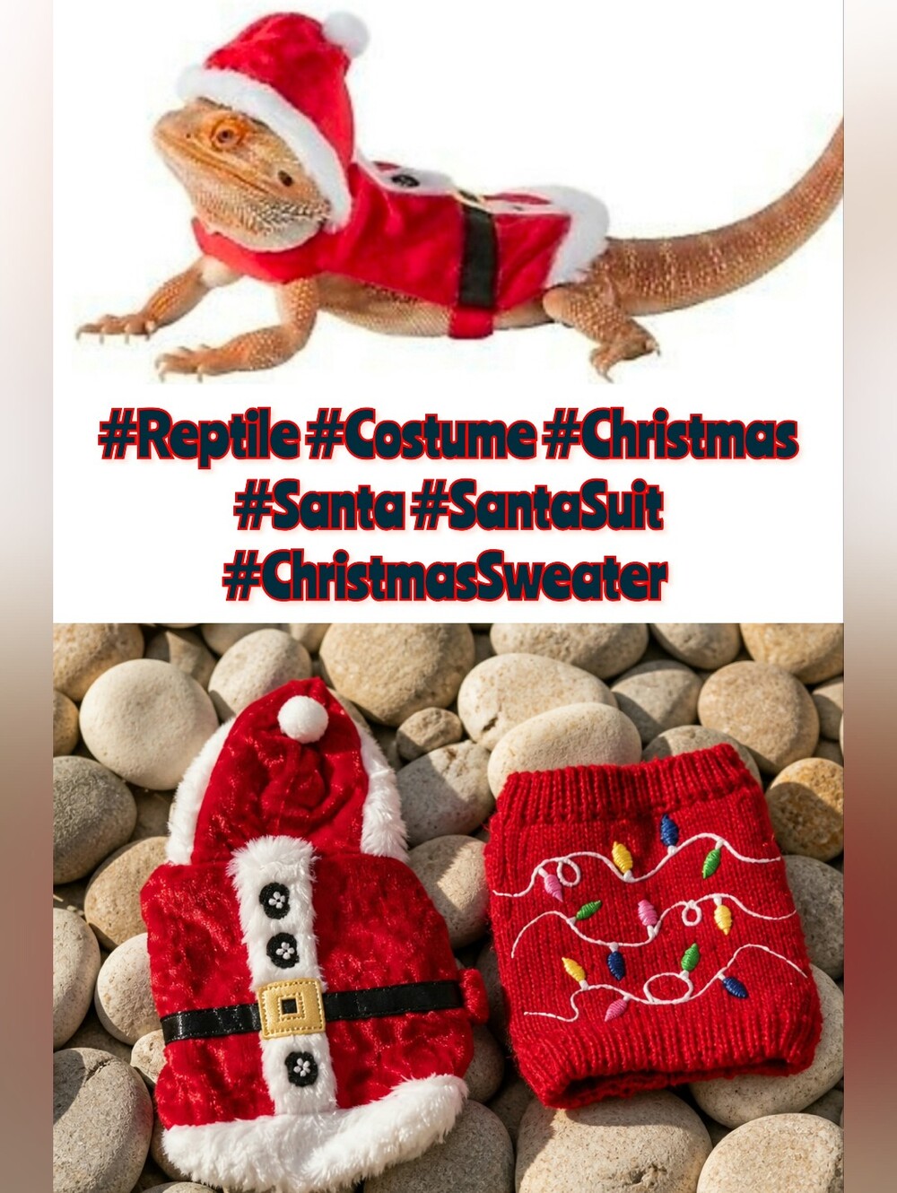 📣Bundle of 2️⃣ Merry & Bright Santa Reptile 🦎 Costume & Christmas Sweater 🎄🎁